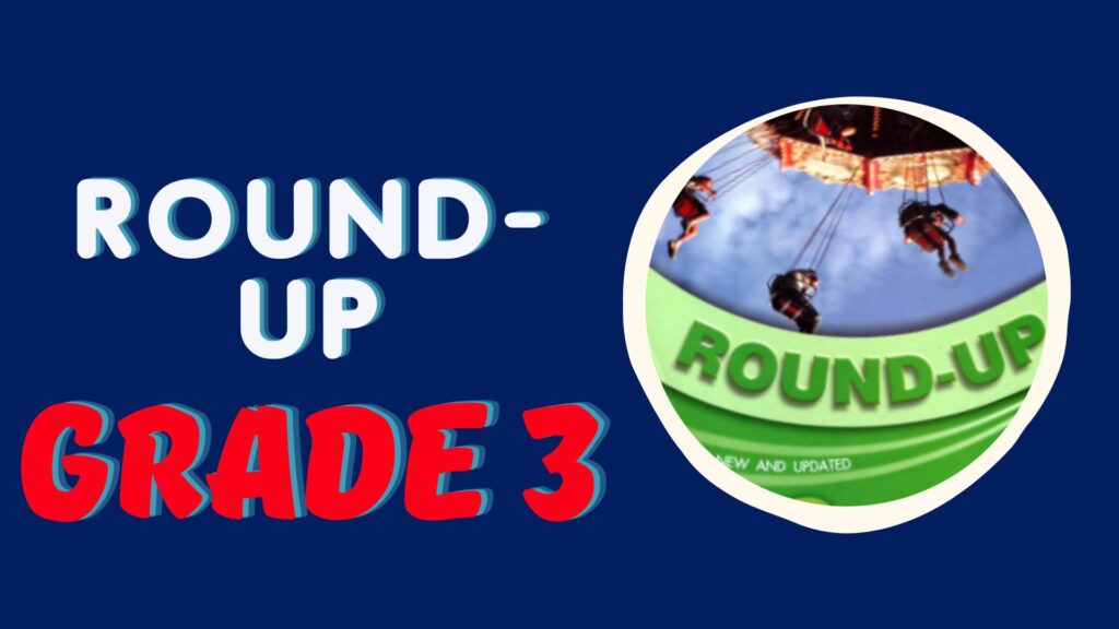 Rich Results on Google's SERP when searching for 'English Grammar Round Up 3'